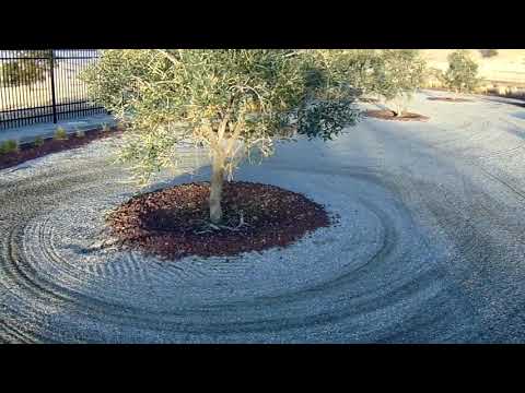 Sierra Silver Grey Decomposed Granite Landscape