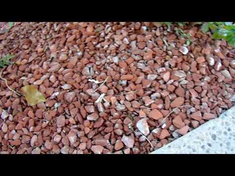 Crushed Red Brick Rock Don't Use It
