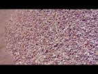 Palm Springs Gold Rock 3/8'