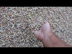 Salmon Bay   Coral Sea - Jelly Bean Pebbles