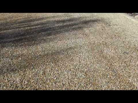 Lodi Gold Crushed Rock Driveway