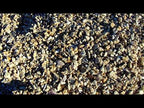 California Gold Rock 3/8 Inch