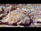 California Gold Granite Rock Boulders