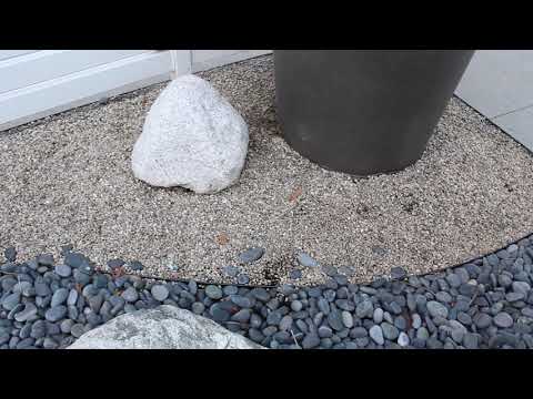 Imperial Del Rio Pebbles