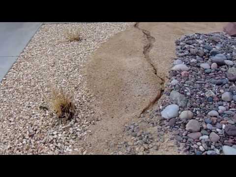 Arizona River Rock Cobble and California Gold Rock and D. G.