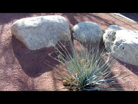 Ruby Red Decomposed Granite