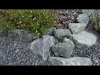Black Slate Chip Landscape