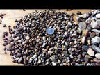Lodi Gold Pea Gravel Introduction