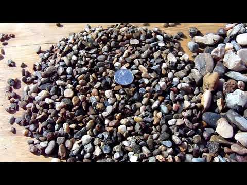 Lodi Gold Pea Gravel Introduction