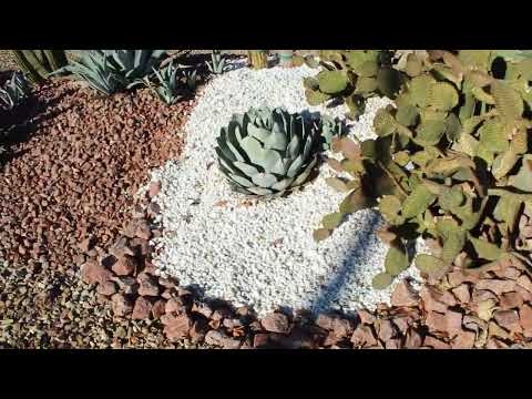 Ruby Red and Ultra White Rock Done Right In Las Vegas