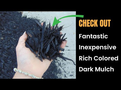 Black Wood Colored Mulch