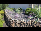 Sonoma Moss Wall Rock and Red Mexican Beach Pebbles