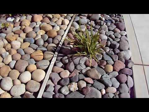 Noiyo River Rock and Arizona River Rock