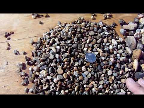 Lodi Gold Gold Birdseye Pebbles