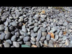 Black Mexican Beach Pebbles La Paz Type