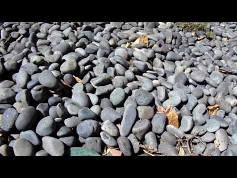 Black Mexican Beach Pebbles La Paz Type