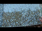 Bocce Ball Court Oyster Shell and Oyster Shell Flour