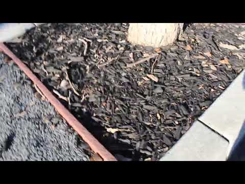 Black Crystal Basalt n Black Wood Mulch At PayPal
