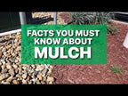 Brown Mulch