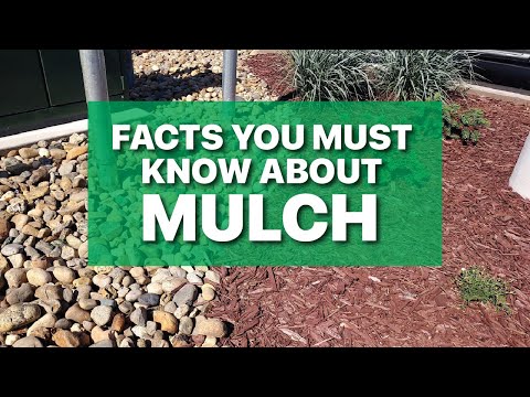 Brown Mulch