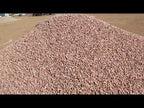 Las Vegas Pink Rock 3/8"