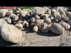 Sierra Gold Granite River Rock n Boulders For Sale