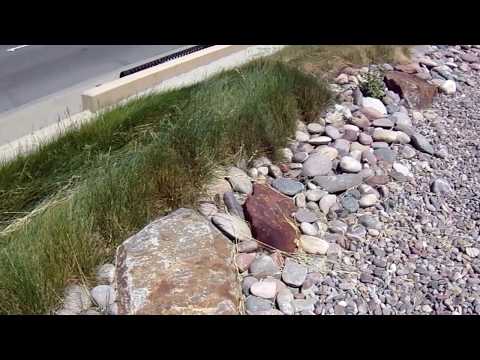 Perfect Use of Arizona River Rock For Dry Creek