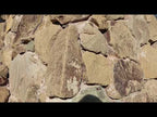 Topanga Gold Wall Rock