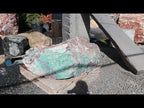 Curacao Blue Boulders