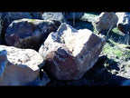 Sonoma Fieldstone Moss Boulders Medium Size