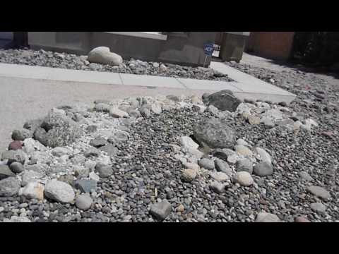 Effective Use of Arizona River Rock Cobbles and Rip Rap