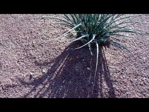 Red Decomposed Granite