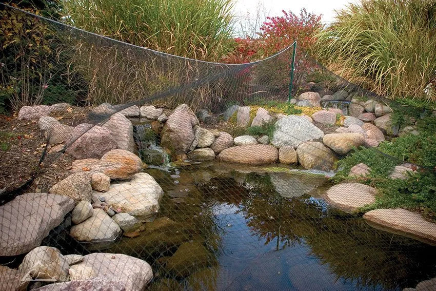 Protective Pond Netting - 7' X 10' (2.1 X 3 M) – image 4