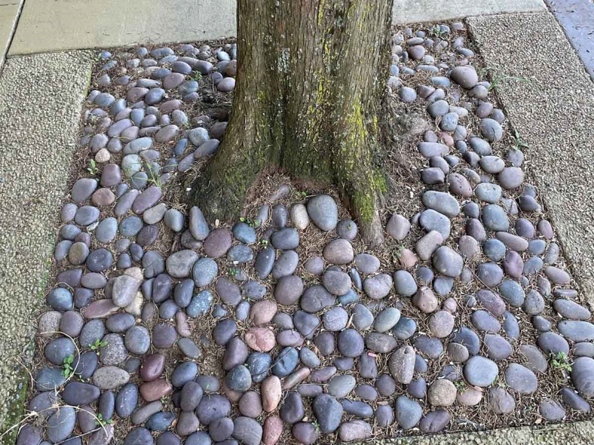 Red Mexican Beach Pebbles 1 inch - 2 inch