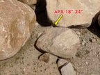 River Washed boulders, 18 to 24 inch, sold by size class for landscape accents