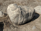 Sierra Salt n Pepper landscape boulders, 24 to 30 inch size