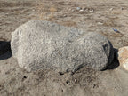 Sierra Salt n Pepper landscape boulders, 30 to 36 inch size