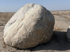 Sierra Salt n Pepper specimen landscape boulder, quoted individually