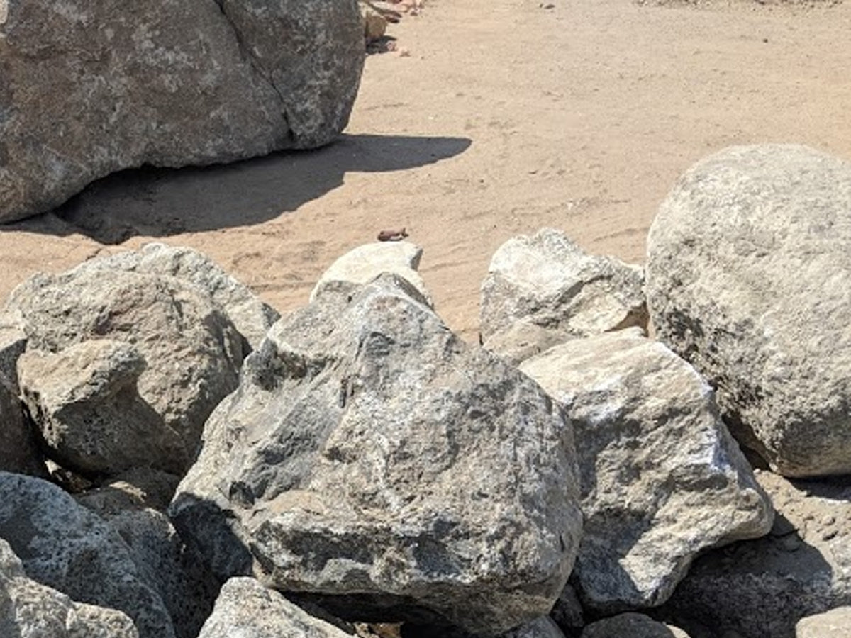 Silver-Grey Granite natural landscape boulders in the 18 to 24 inch size class