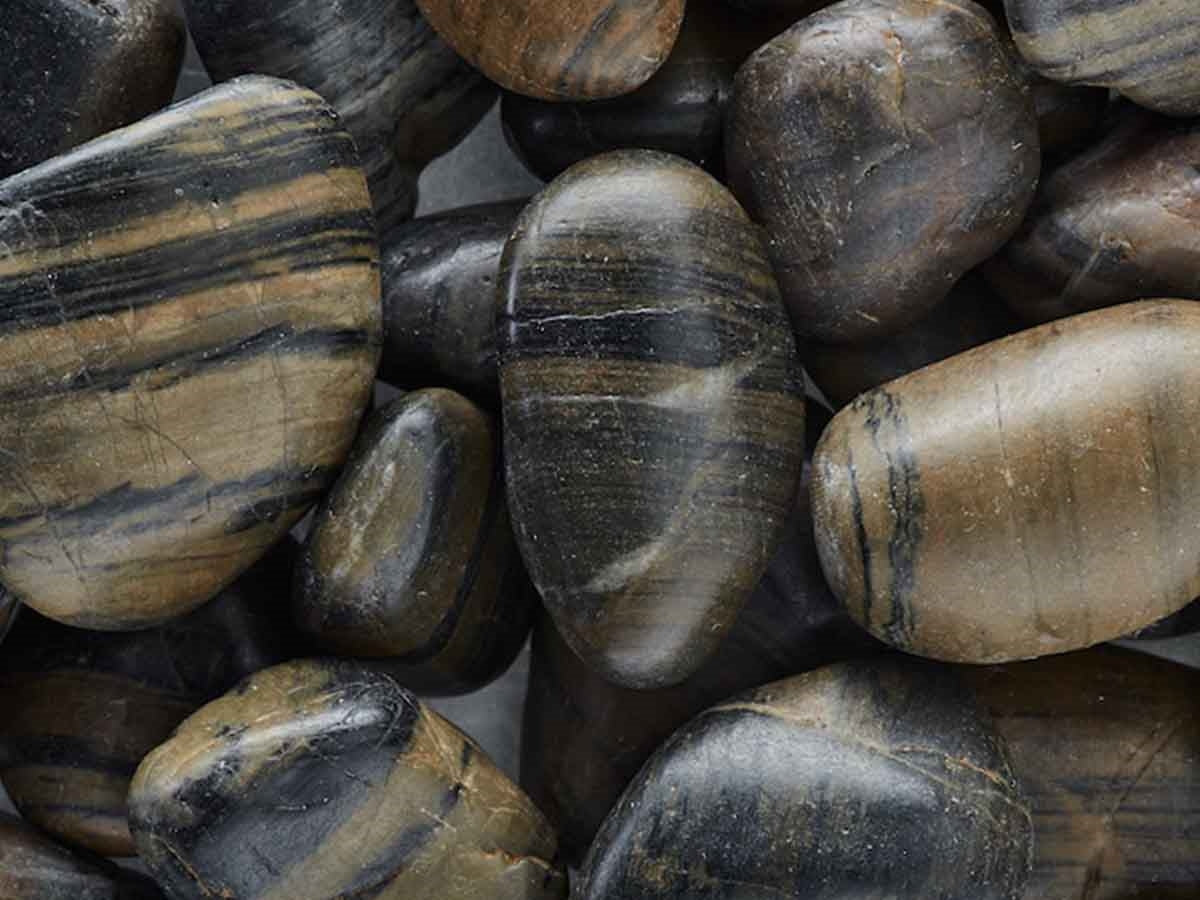 Tiger Striped Polished Pebbles, Tiger Striped Polished 1/2- 1 Sample