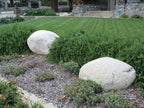 White Granite River landscape boulders, 24 to 30 inch size