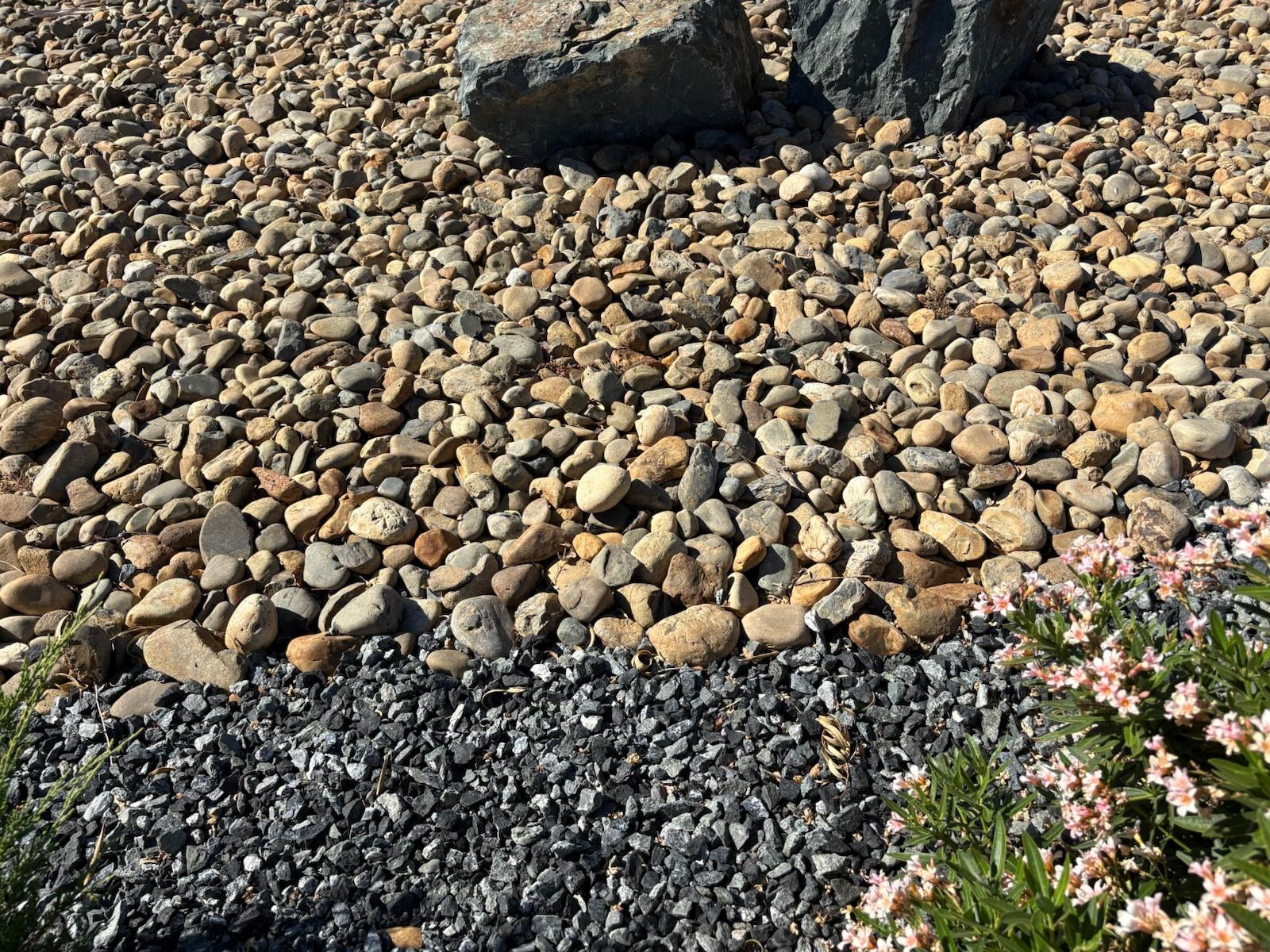 Yosemite Gold River rounded tan and gold river cobble used as landscape ground cover