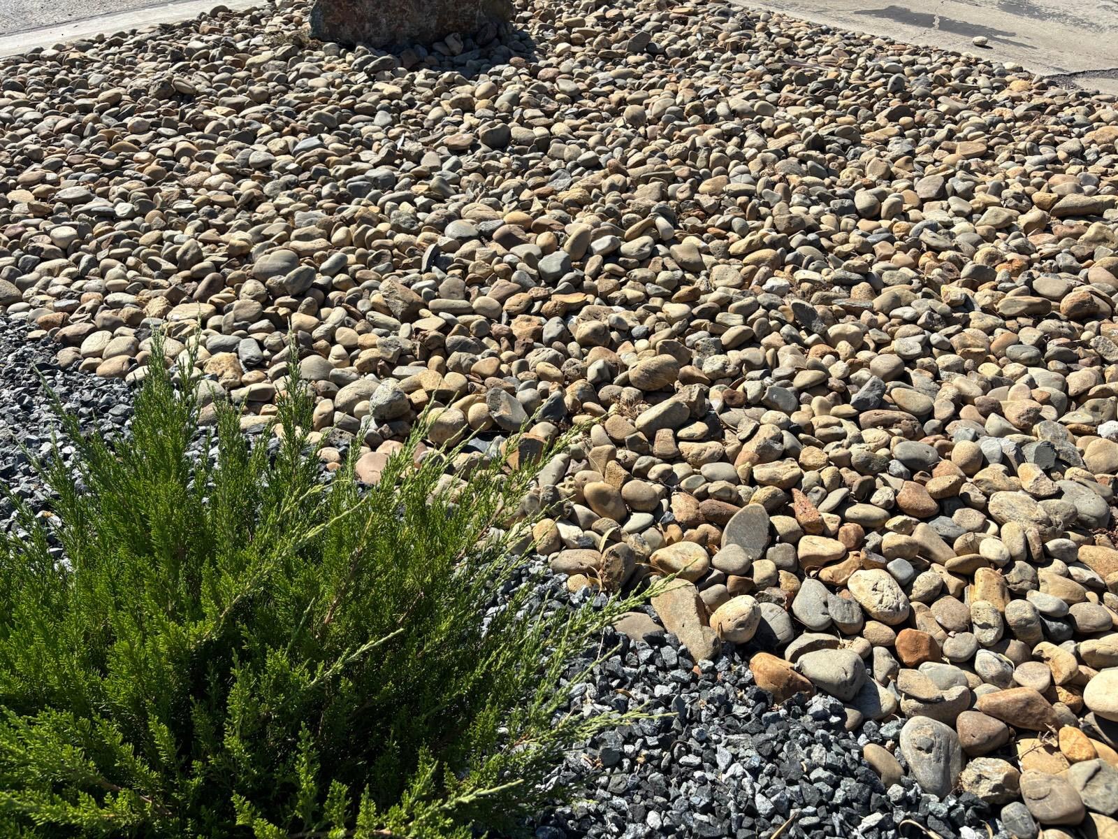 Wide bed of Yosemite Gold River cobble bordered by juniper and dark crushed rock