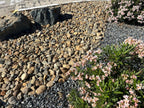 Yosemite Gold River cobble bed edged with dark basalt boulders beside a parking area