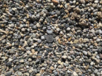 Yosemite Pebbles, Yosemite 3/8 Sample