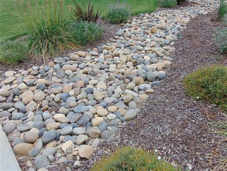 Noiyo River Cobble stones | Quarry Fast Shipping Landscape Supply